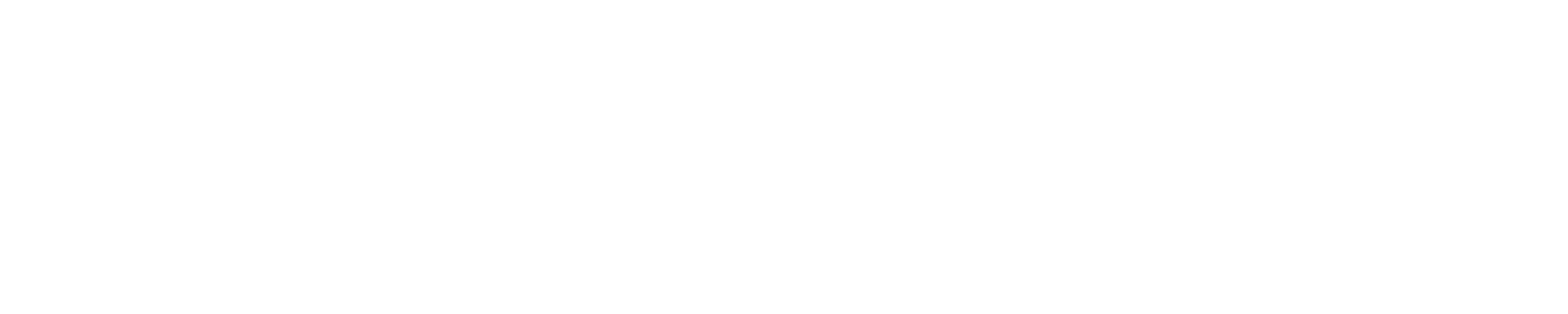 RocketExpo Logo 2022 Weiss